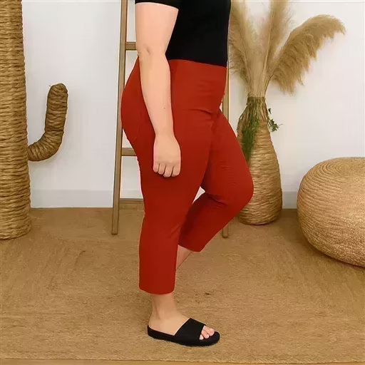 R273- Tregging Christy (T42-T52) (rouille) – Image 2