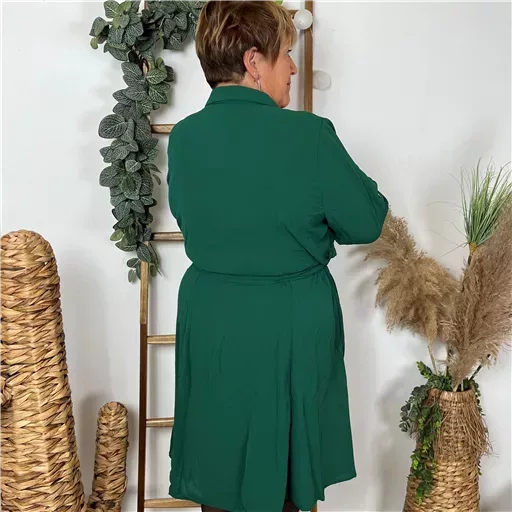 Z393- Christy Robe unie (T44-T52) (vert sapin) – Image 4
