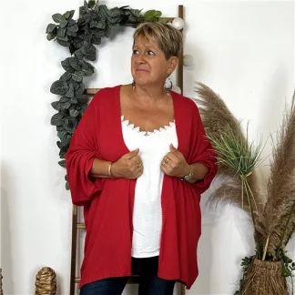 K857- Gilet Maille Nid d abeille (Gt) (rouge)