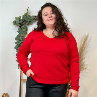 Y285- Tricotonic Col V, Les T44 & T48 (rouge)