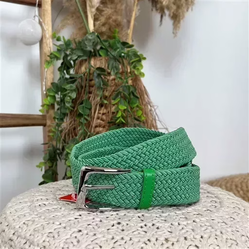 V697- Ceinture élastiquée (vert céladon) – Image 2