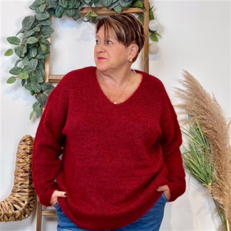 Pull Christy Grande Taille (bordeaux)
