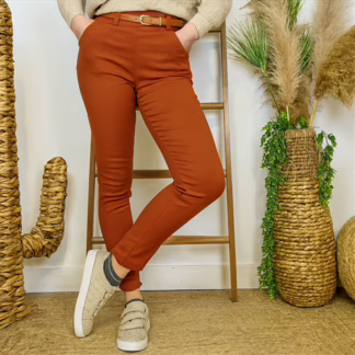 Pantalon Stretch (T36-T46) 🇮🇹 (rouille)