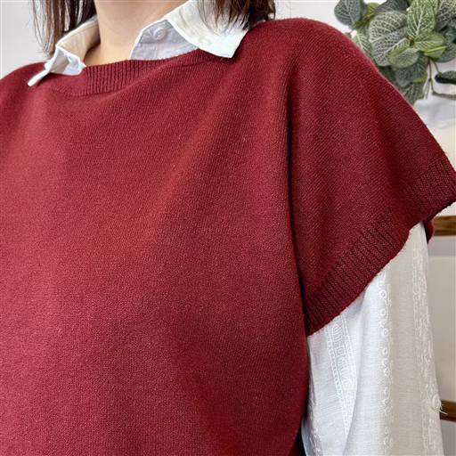 Z102- Pull sans manches dos boutonné (bordeaux) – Image 5