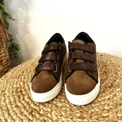 R447- Tennis Scratch (T36-T41) - marron - 41