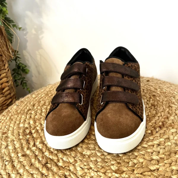 R447- Tennis Scratch (T36-T41) - marron - 41