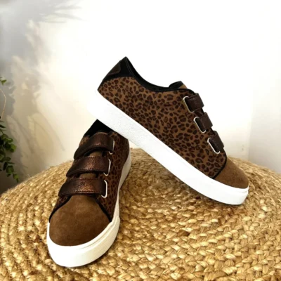 R447- Tennis Scratch (T36-T41) - marron - 41