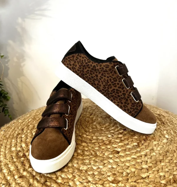 R447- Tennis Scratch (T36-T41) - marron - 41