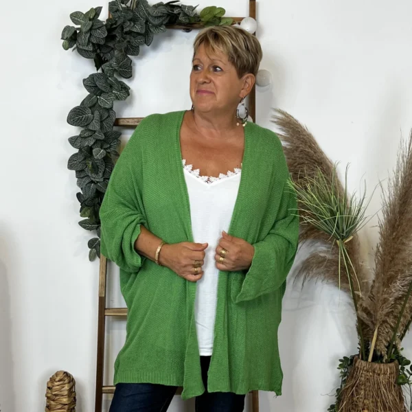 Z164- Gilet Maille Nid d abeille (Gt) - vert-bresil - taille-unique-grande-taille