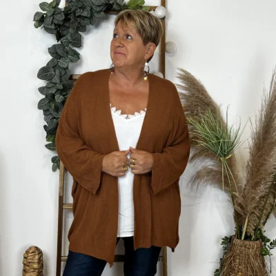 Z164- Gilet Maille Nid d abeille (Gt) - camel - taille-unique-grande-taille