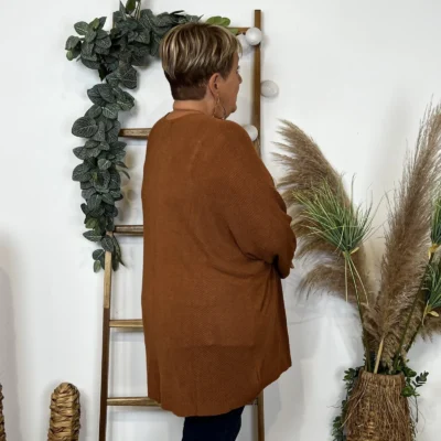 Z164- Gilet Maille Nid d abeille (Gt) - camel - taille-unique-grande-taille