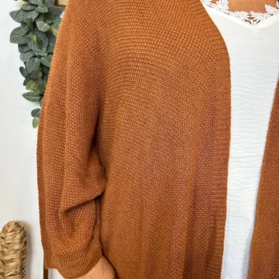 Z164- Gilet Maille Nid d abeille (Gt) - camel - taille-unique-grande-taille