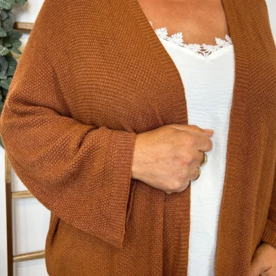 Z164- Gilet Maille Nid d abeille (Gt) - camel - taille-unique-grande-taille