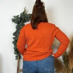 Pull col V laine et cachemire femme TRICOTONIC T44 - rouille - 48