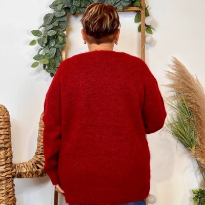 Z133. Pull Christy Grande Taille - bordeaux - 48