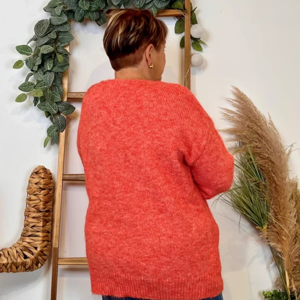 Z133. Pull Christy Grande Taille - corail - 48