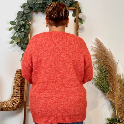 Z133. Pull Christy Grande Taille - corail - 48