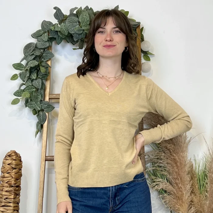 Pull fin col V femme VOGGO T36-T46 - taupe - 44