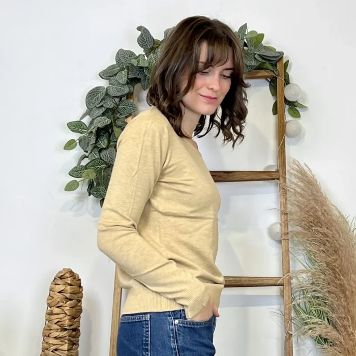 Pull fin col rond femme VOGGO T36-T46 - taupe - 44