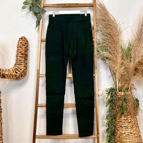 R274- Tregging Molletonné Christy - vert-sapin - 52