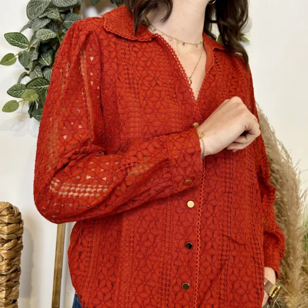 J881 - Blouse brodée (T36-T40) - rouille - 48