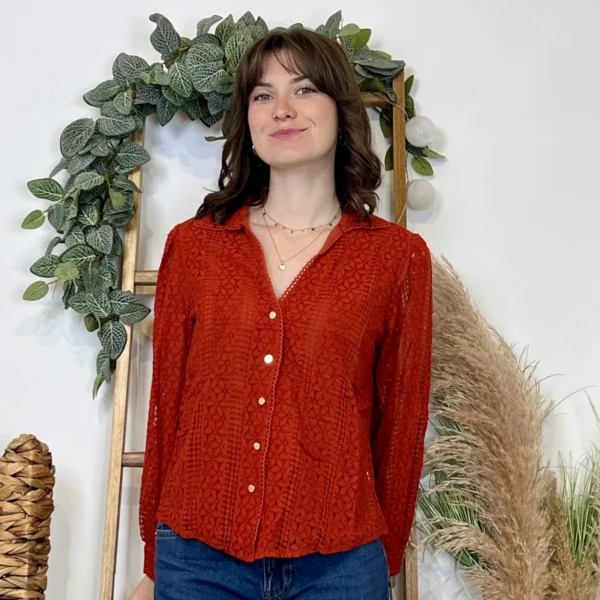 J881 - Blouse brodée (T36-T40) - rouille - 48