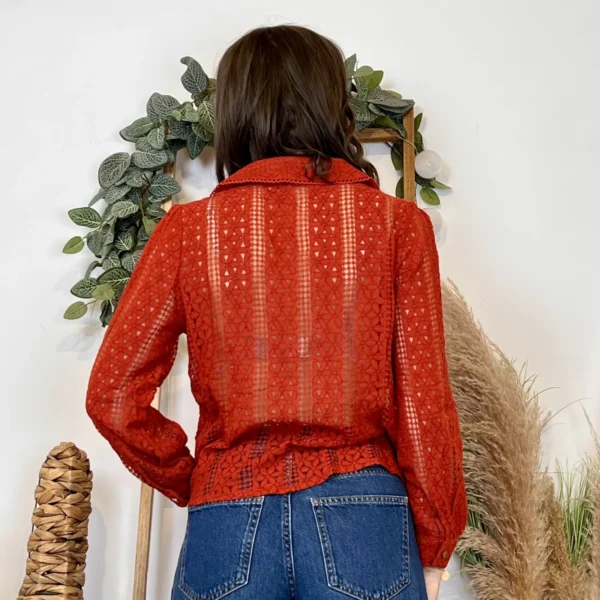 J881 - Blouse brodée (T36-T40) - rouille - 48