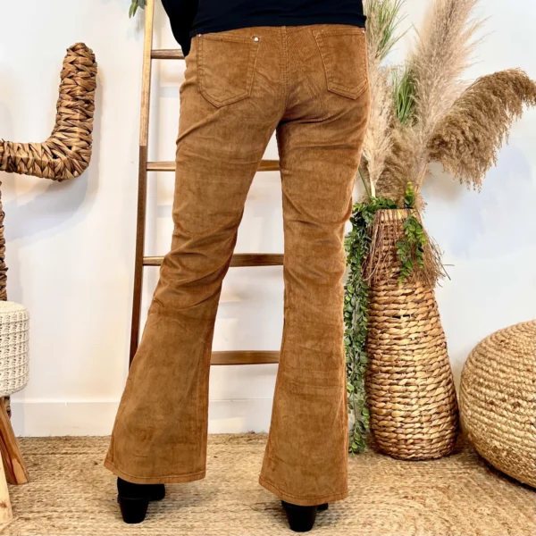 W136- Jean Bootcut Velours (T36-T44) - camel - 44