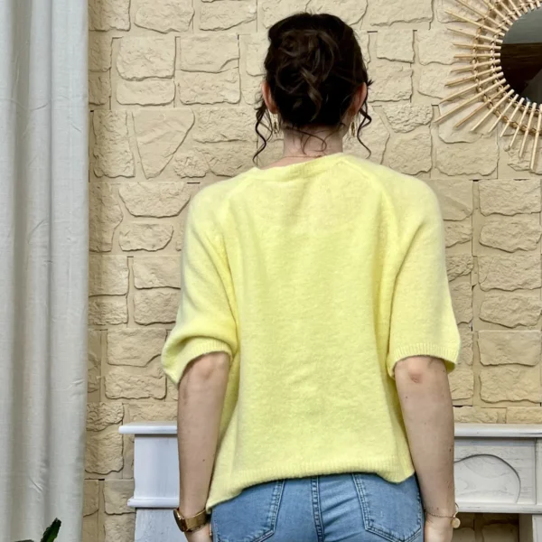 I720 - Gilet boutonné (TU) - jaune - taille-unique