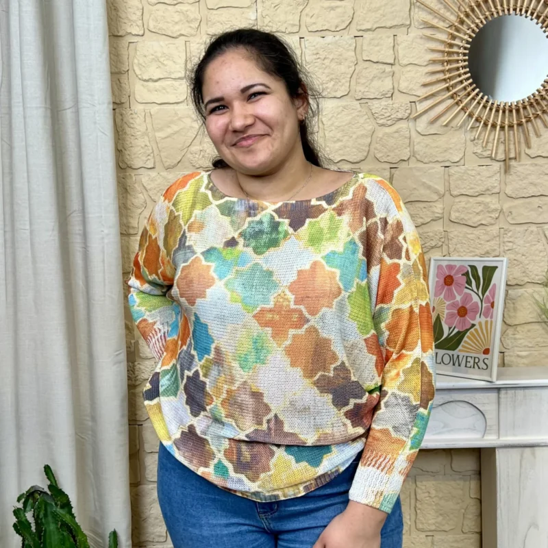 Pull multicolore (TU)