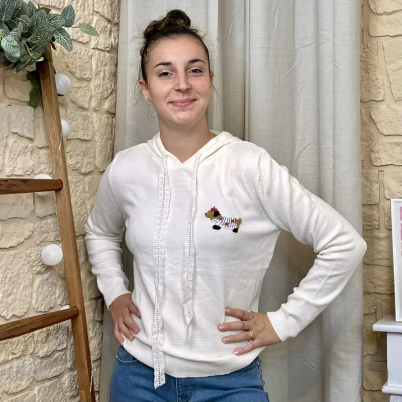 Pull à capuche teckel brodé