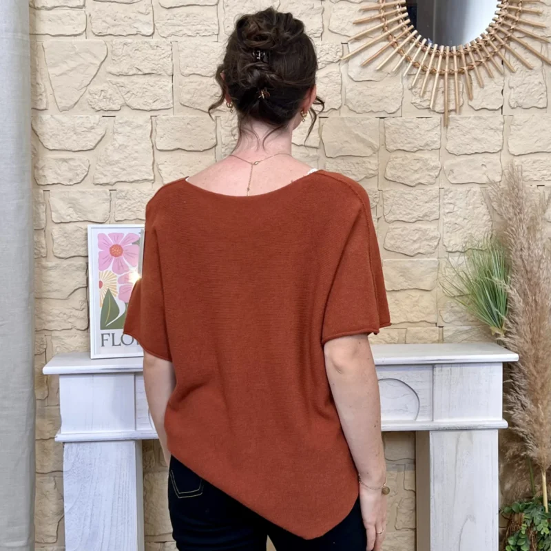 Pull maille manches courtes col V - camel - taille-unique