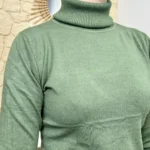 Pull col roulé fin femme VOGGO - kaki - 44