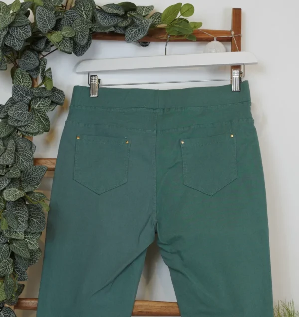 R281- Pantacourt Christy (T42-T52) - vert-celadon - 52