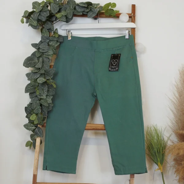 R281- Pantacourt Christy (T42-T52) - vert-celadon - 52