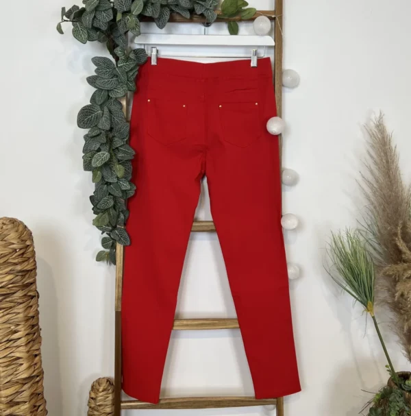 R273- Tregging Christy (T42-T52) - rouge - 52