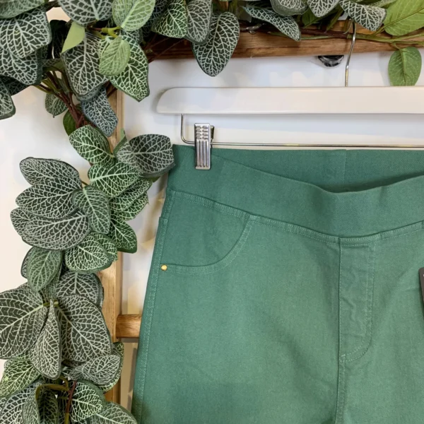 R273- Tregging Christy (T42-T52) - vert-celadon - 52