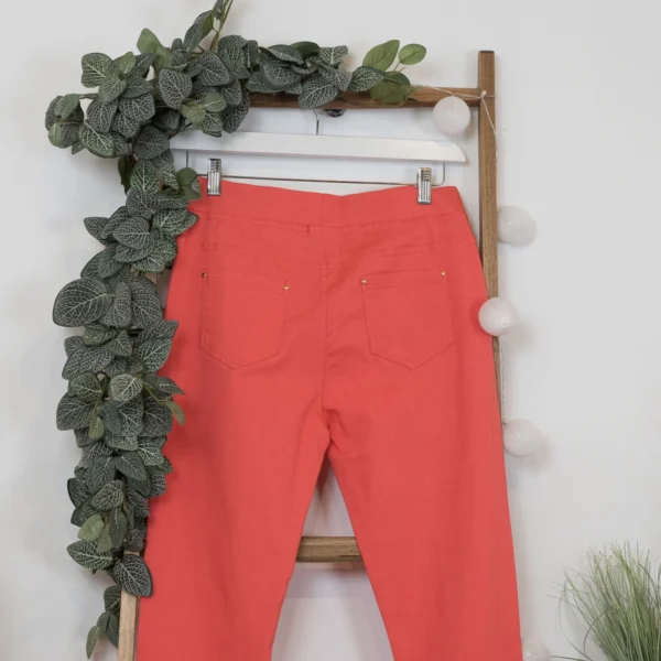 R273- Tregging Christy (T42-T52) - corail - 52