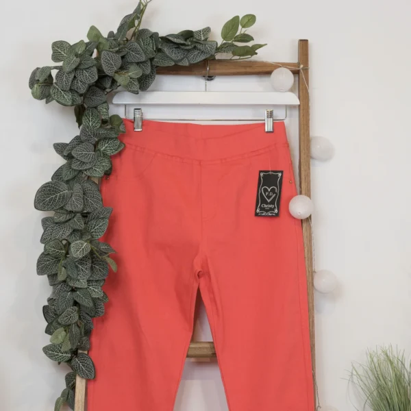 R273- Tregging Christy (T42-T52) - corail - 52