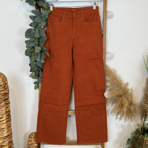 W130- Jean Flare Voggo T36-T44 - rouille - 44
