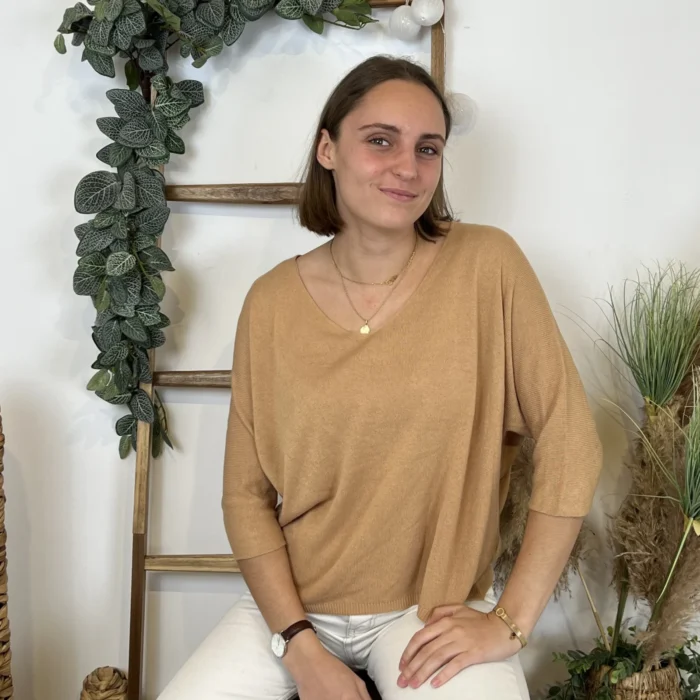 Pull femme maille fine col V « Tendance » - camel - taille-unique