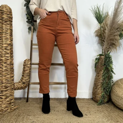 W113- Jean Mom Voggo - rouille - 44