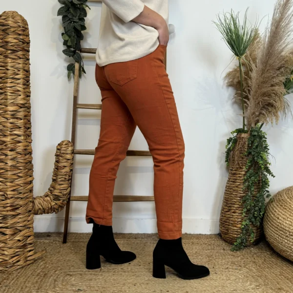 W113- Jean Mom Voggo - rouille - 44