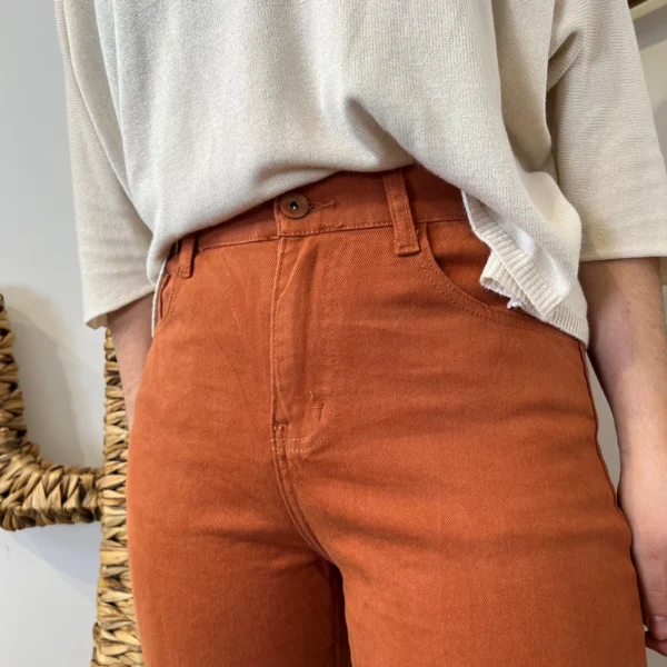 W113- Jean Mom Voggo - rouille - 44