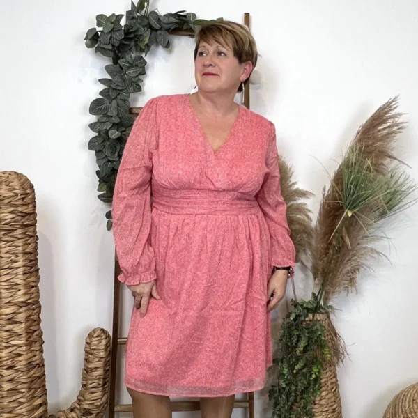 L0650- Robe trapèze bicolore (T40-T48) - rose-pale - 48