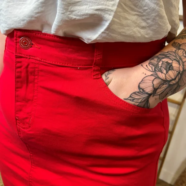 Z161- Jupe Voggo Teintée (T42-T50) - rouge - 50