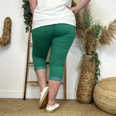 O624- Pantacourt Voggo (T42-T50) - vert-emeraude - 50